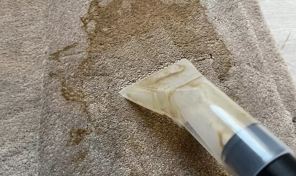test-vevor-eau-poussiere-nettoyage-tapis
