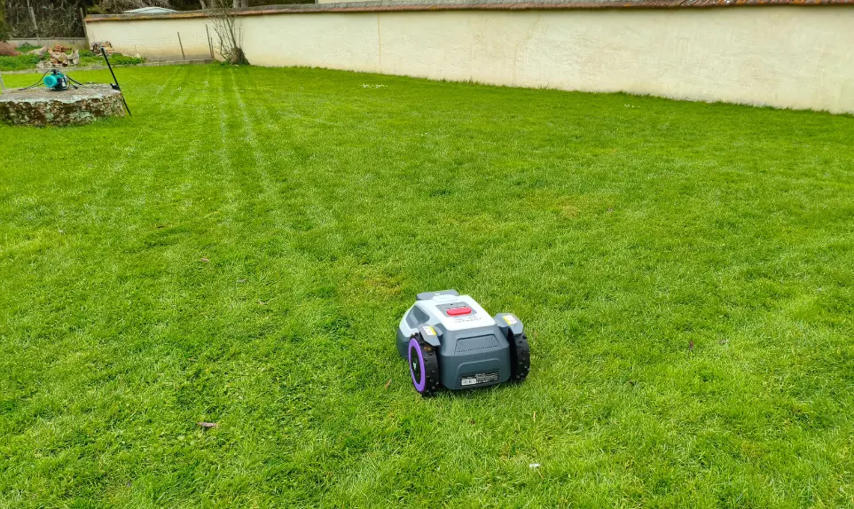 beau-resultat-de-tonte-anthbot-m9