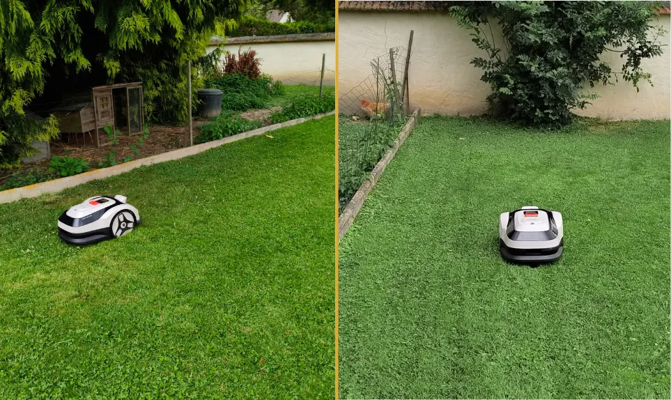 avantages-robot-tondeuse-racoon-2